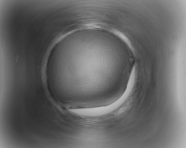 X0000088131373200706041311