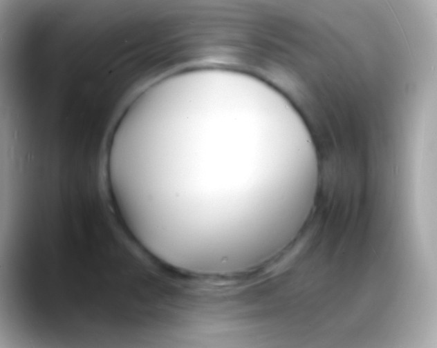 X0000088131374200706041311