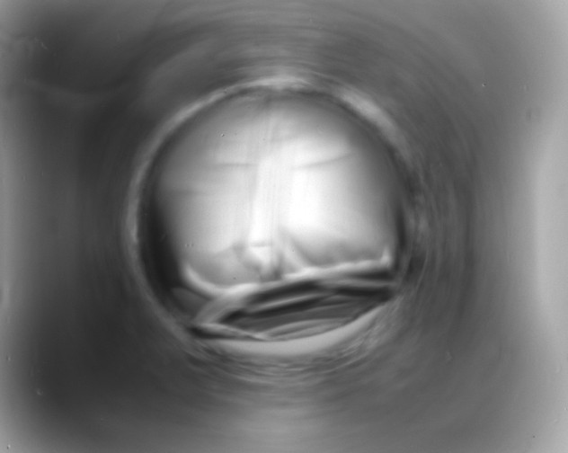 X0000088131375200706041311