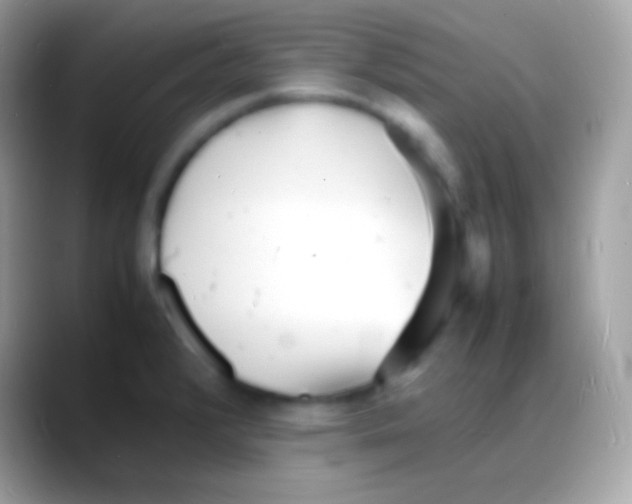 X0000088131376200706041311