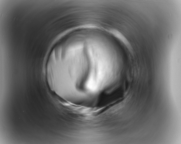 X0000088131380200706041311