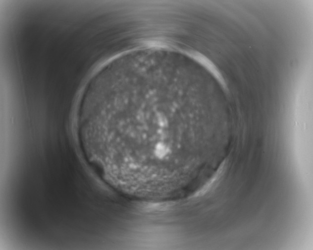 X0000088131381200706041311