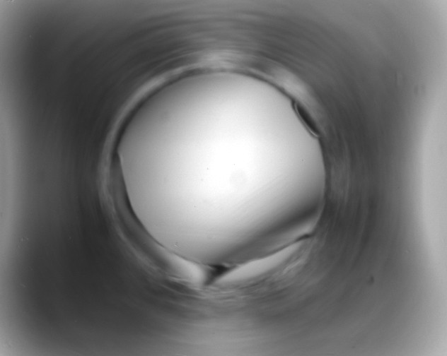 X0000088131384200706041311