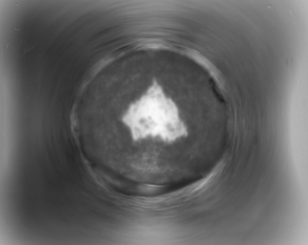 X0000088131385200706041311