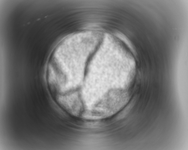 X0000088131386200706041311