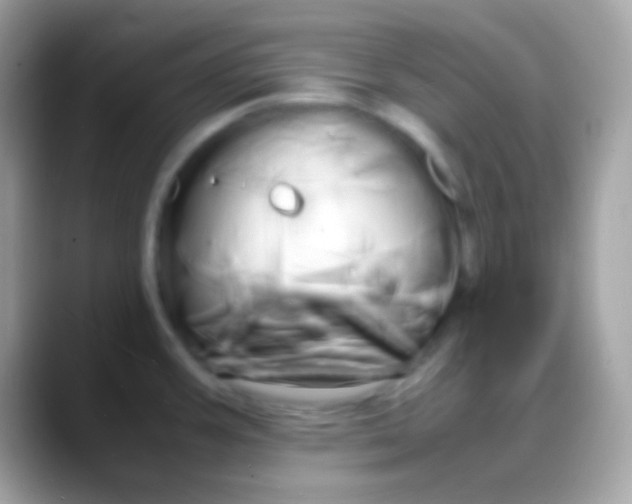 X0000088131387200706041311