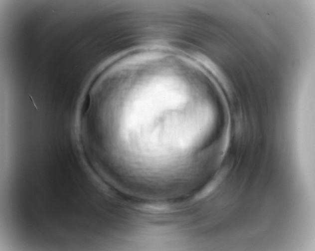 X0000088131388200706041311