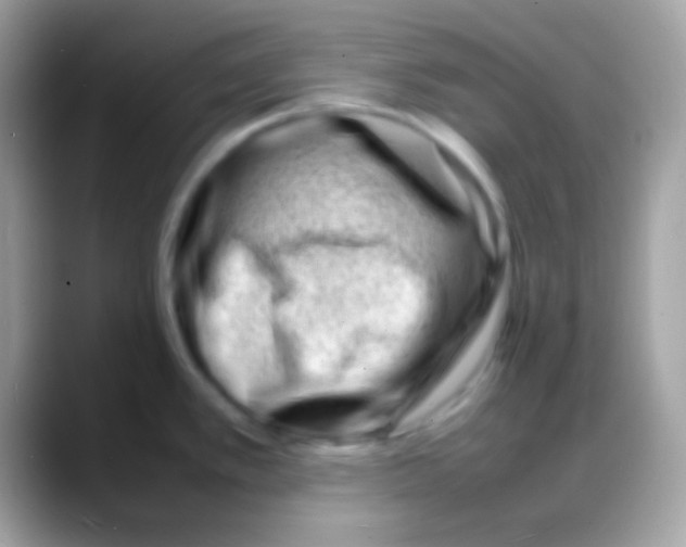 X0000088131389200706041311