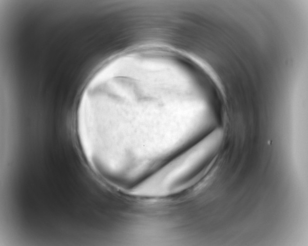 X0000088131390200706041311