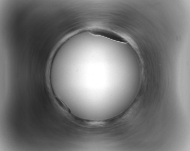 X0000088131392200706041311