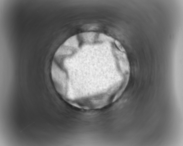 X0000088131393200706041310