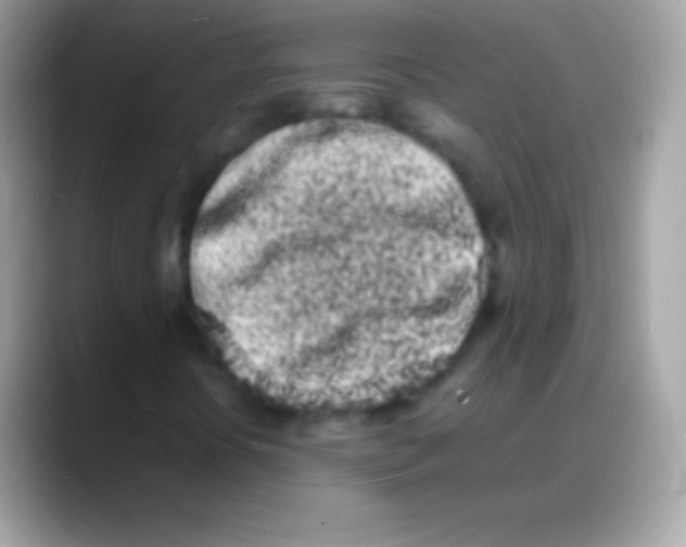 X0000088131394200706041310