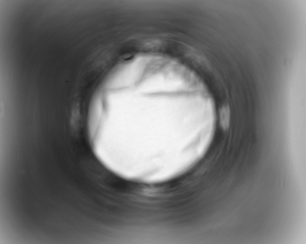 X0000088131395200706041310