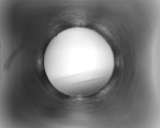 X0000088131396200706041310