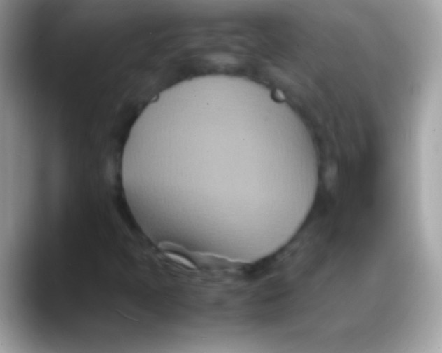 X0000088131397200706041310