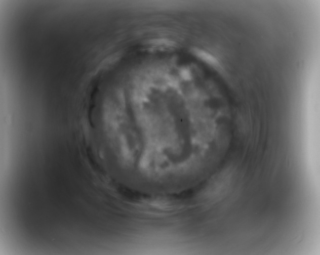 X0000088131399200706041310