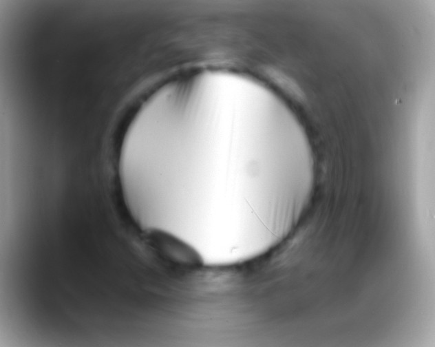 X0000088131400200706041310