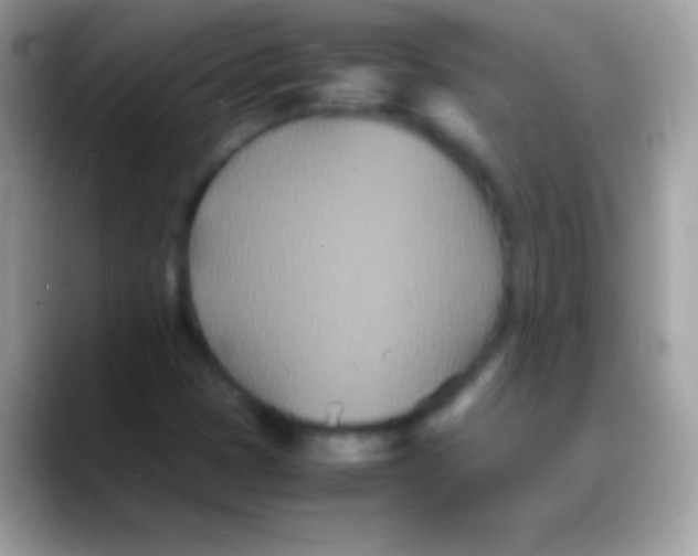 X0000088131401200706041310