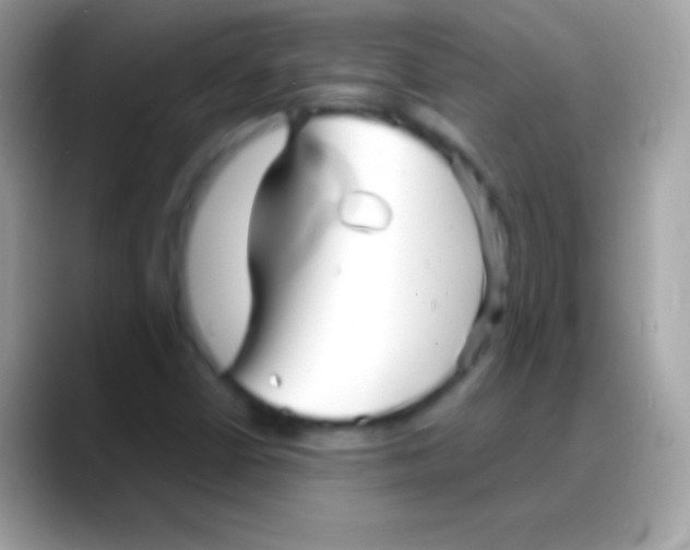 X0000088131402200706041310