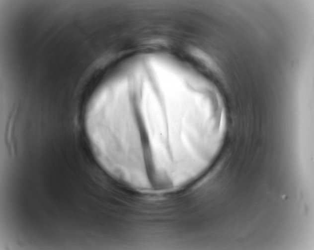 X0000088131403200706041310