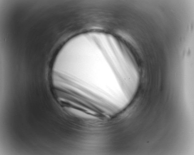 X0000088131404200706041310