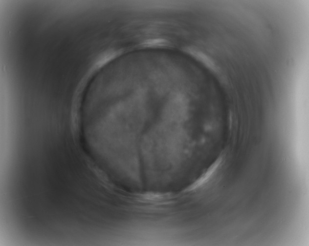 X0000088131405200706041310