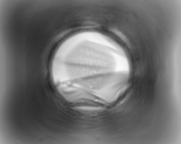 X0000088131407200706041310