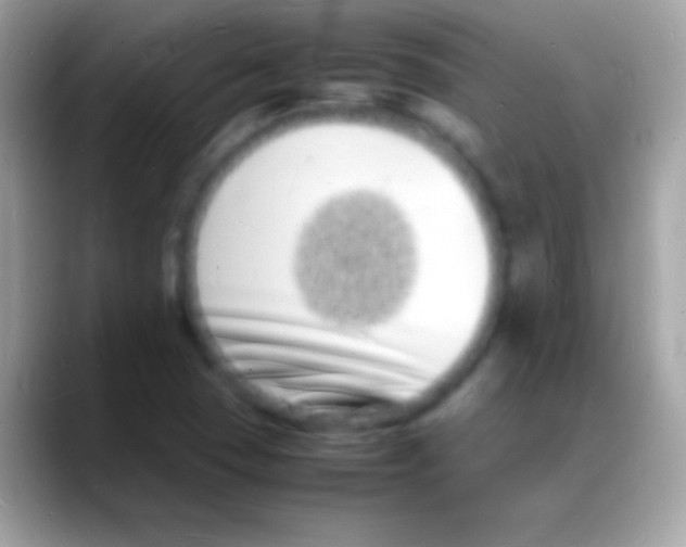 X0000088131409200706041311