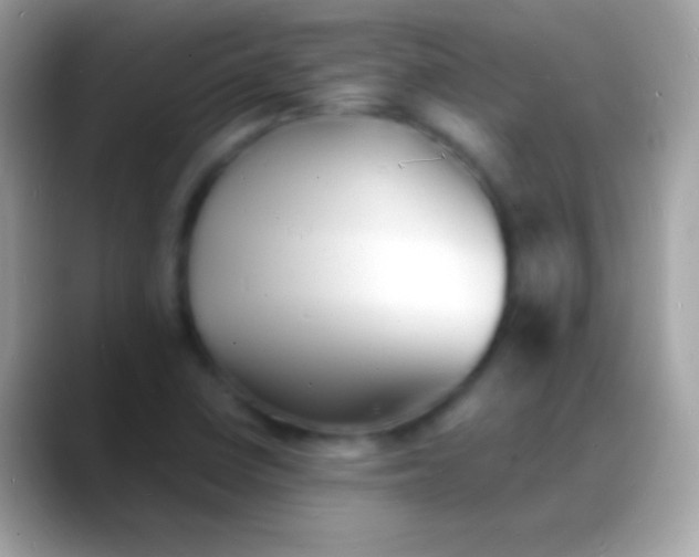 X0000088131410200706041311