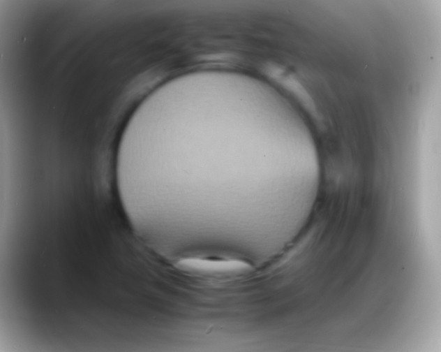 X0000088131411200706041311