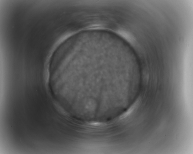 X0000088131413200706041311