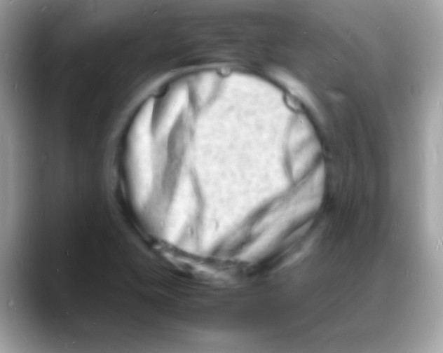 X0000088131415200706041311