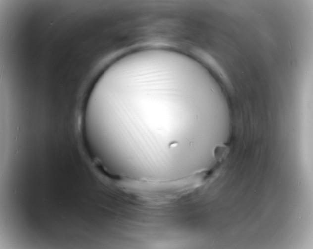 X0000088131416200706041311