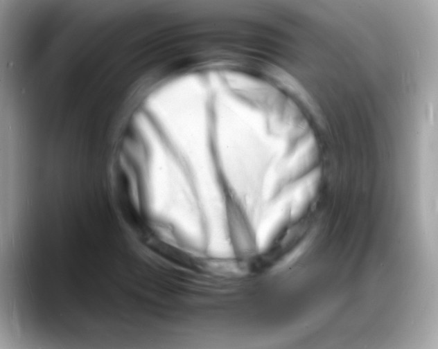 X0000088131417200706041311