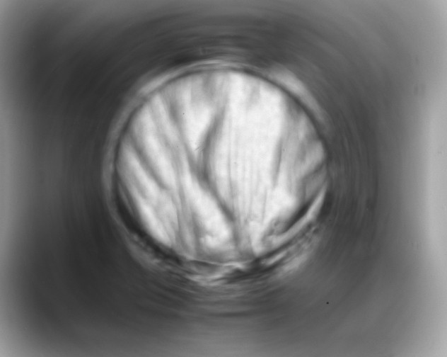 X0000088131421200706041311