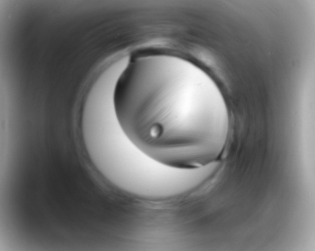 X0000088131422200706041311