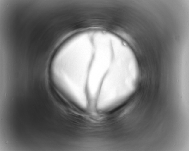 X0000088131423200706041311