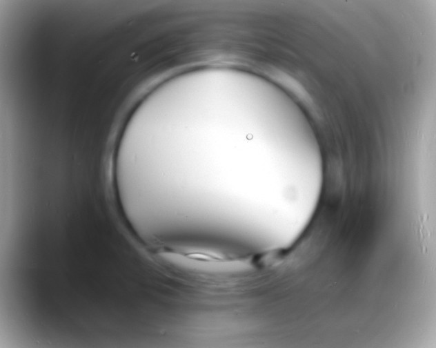 X0000088131424200706041311