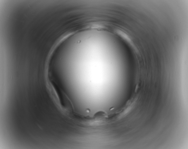 X0000088131426200706041311