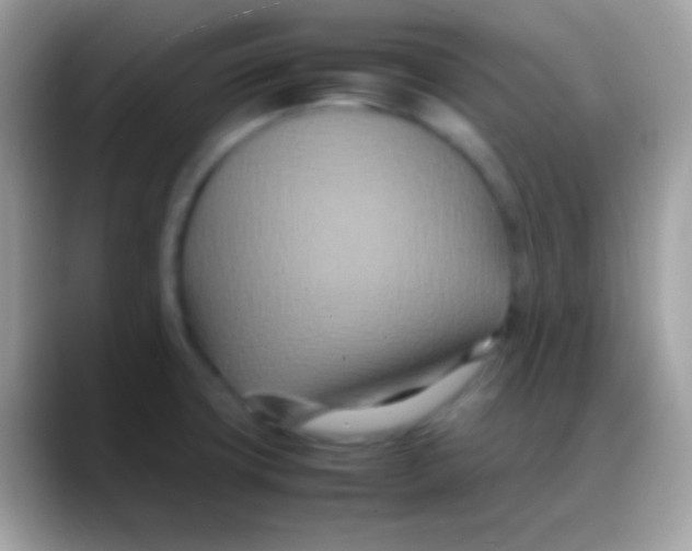 X0000088131427200706041311