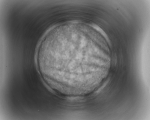 X0000088131429200706041311