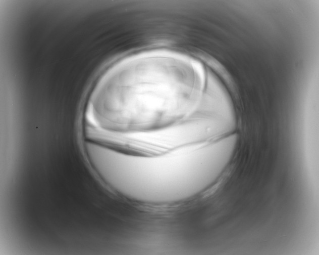 X0000088131432200706041311