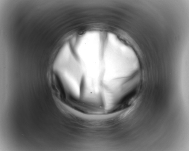 X0000088131433200706041311