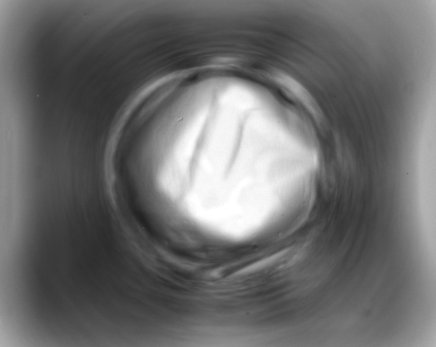 X0000088131435200706041311