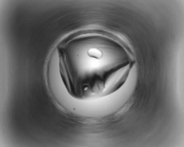 X0000088131438200706041311