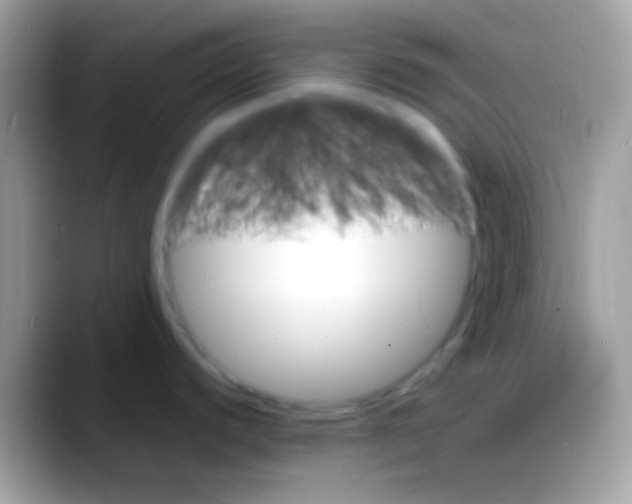 X0000088131440200706041311