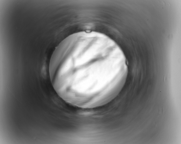 X0000088131442200706041310