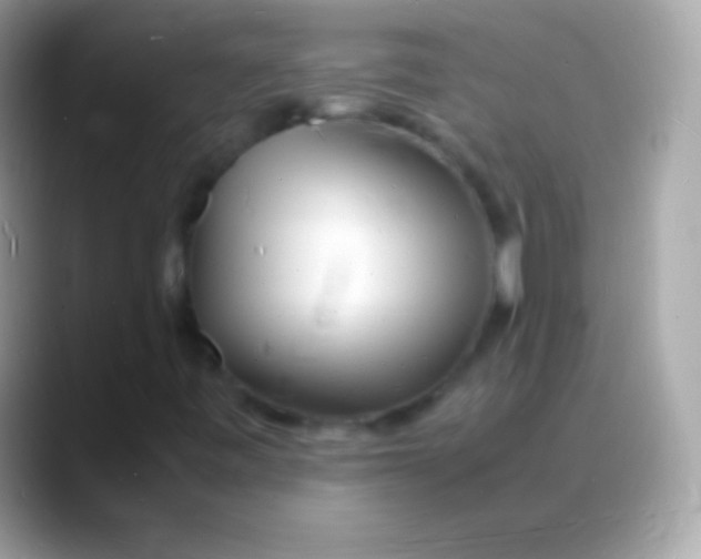 X0000088131443200706041310