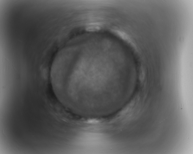 X0000088131445200706041310