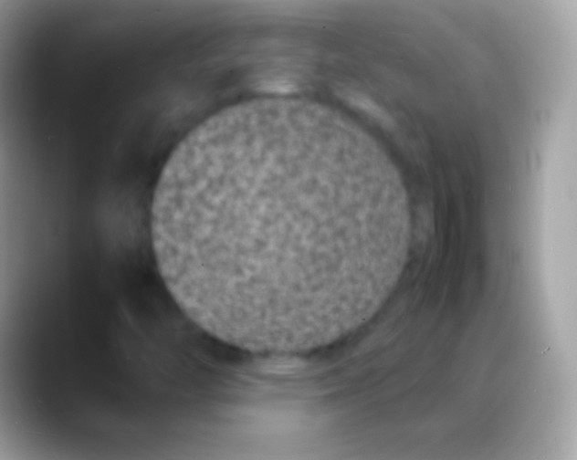 X0000088131446200706041310